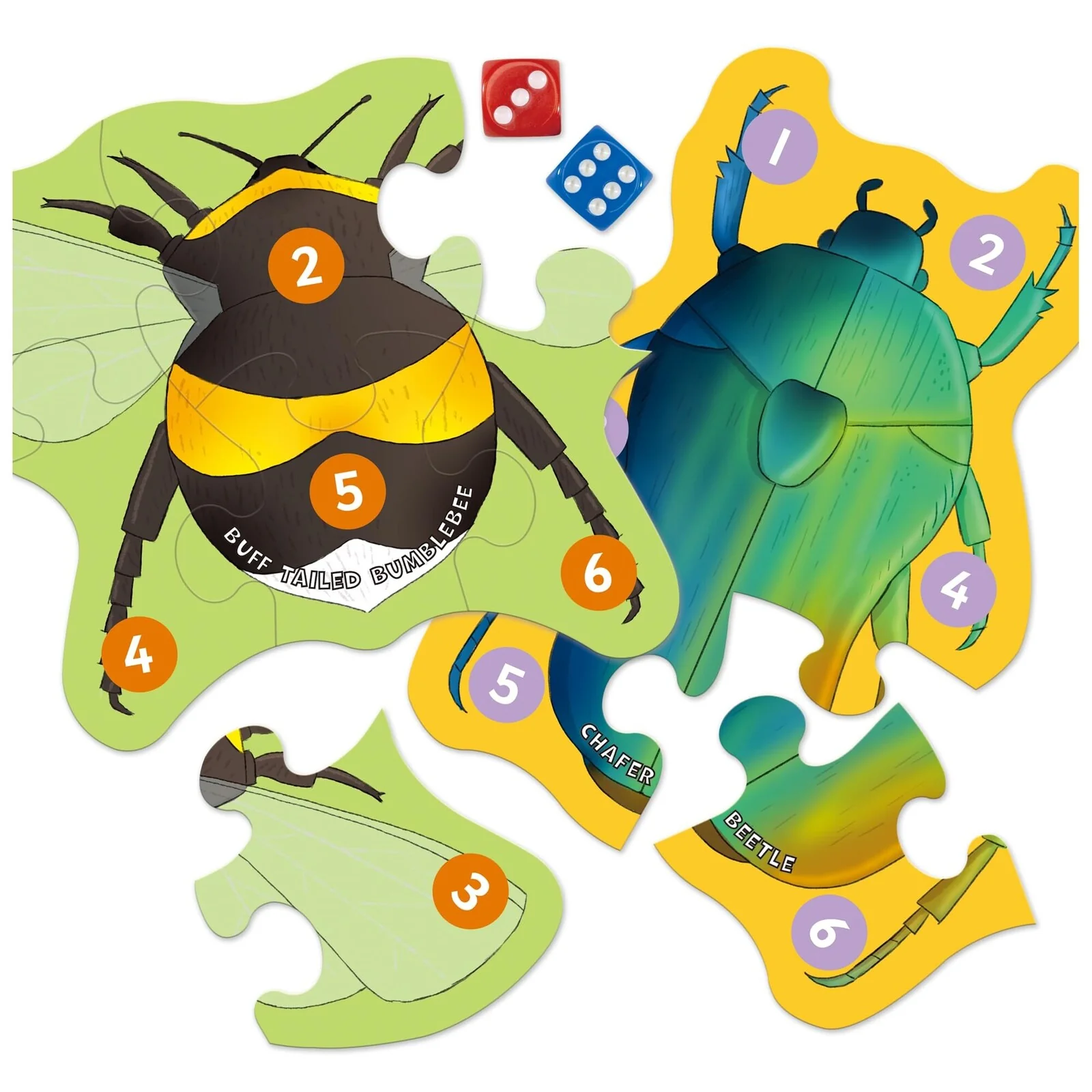 Let's Learn Tiny Creatures