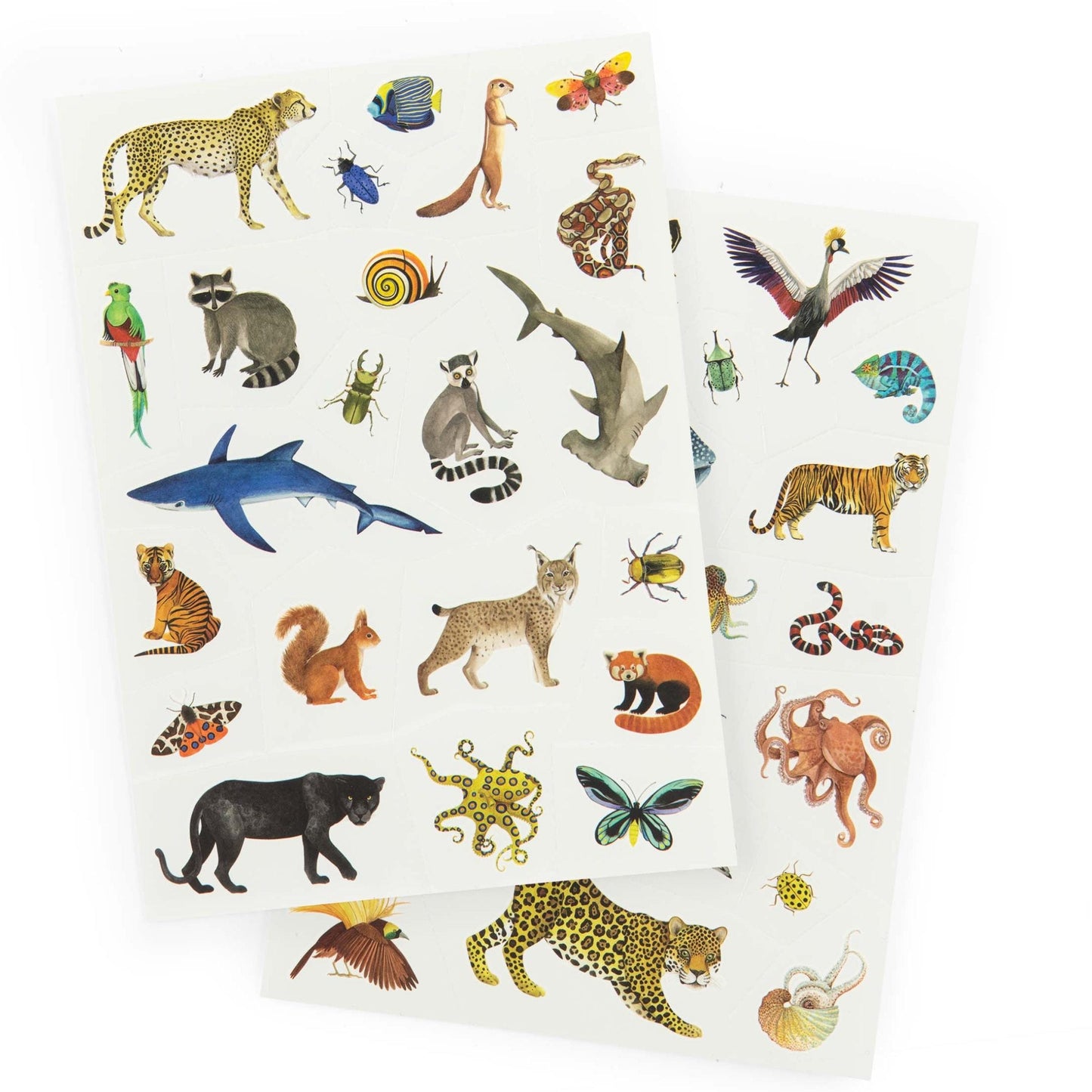 Sheet of animal tattoo stickers with various animals on a white background