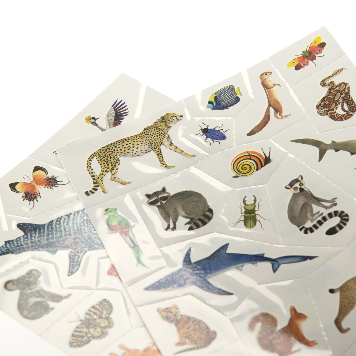 Collection of animal-themed stickers on a white background