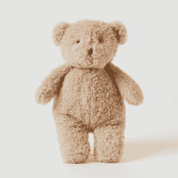 Brown teddy bear on a light background
