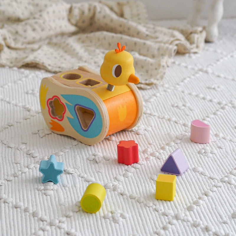 Baby Chick Sorting Box