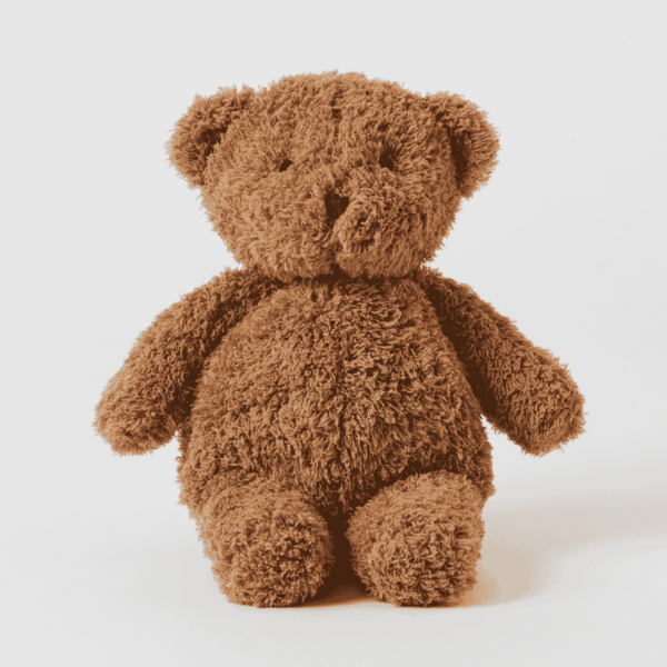 Brown teddy bear on a white background