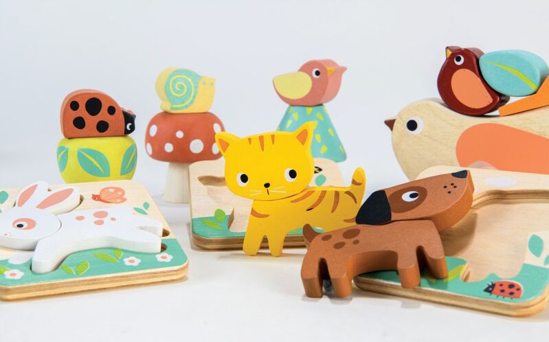 Set of colorful animal-themed wooden toys on a white background