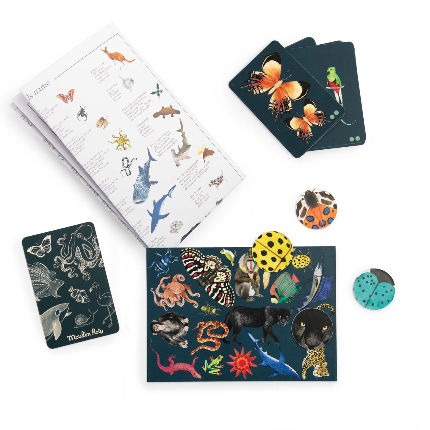 Autour de Monde Seek and Find Card Game