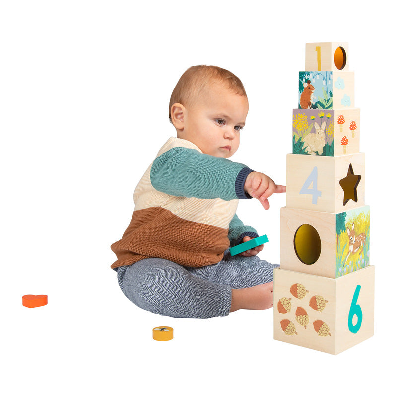 Enchanted Forest Stacking Blocks