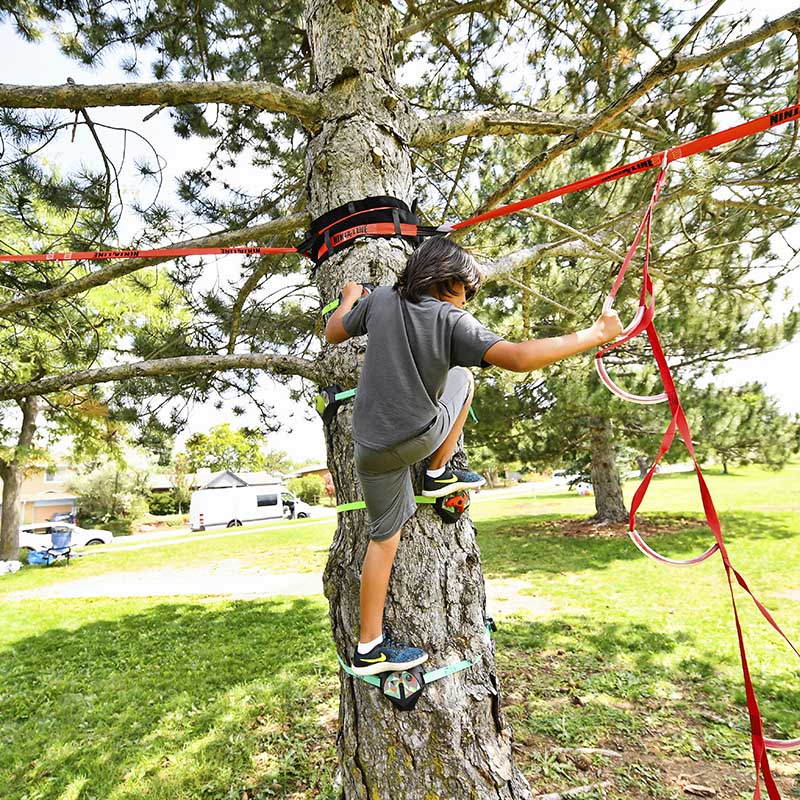 Ninja Tree Climbers