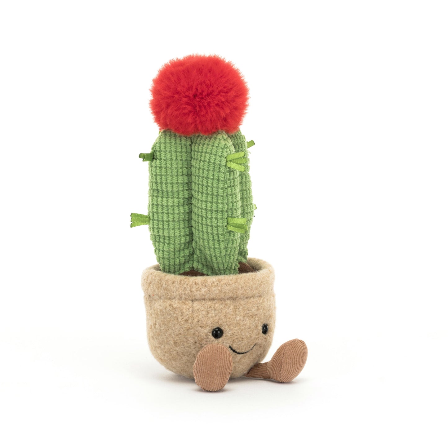 Amuseable Moon Cactus
