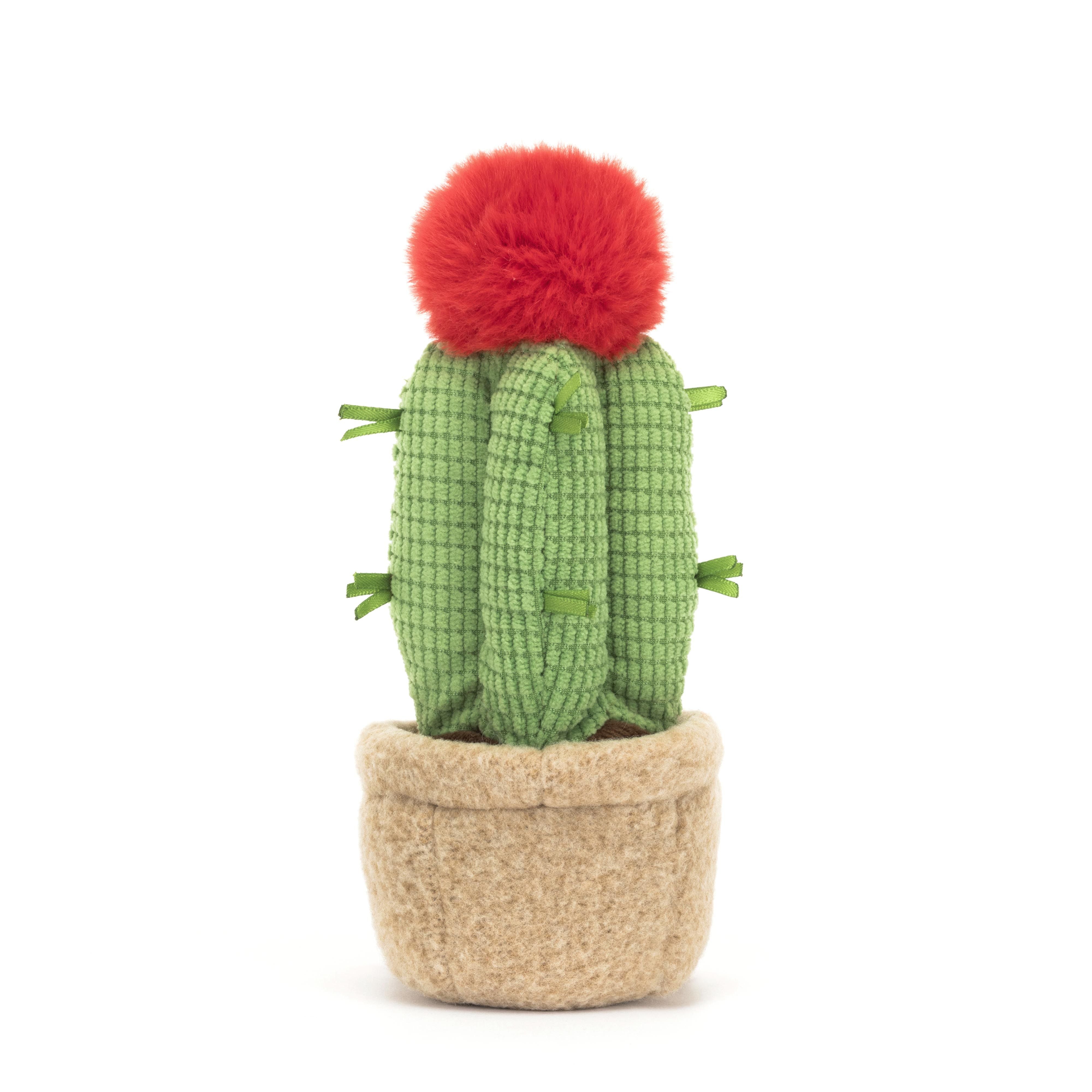 Amuseable Moon Cactus