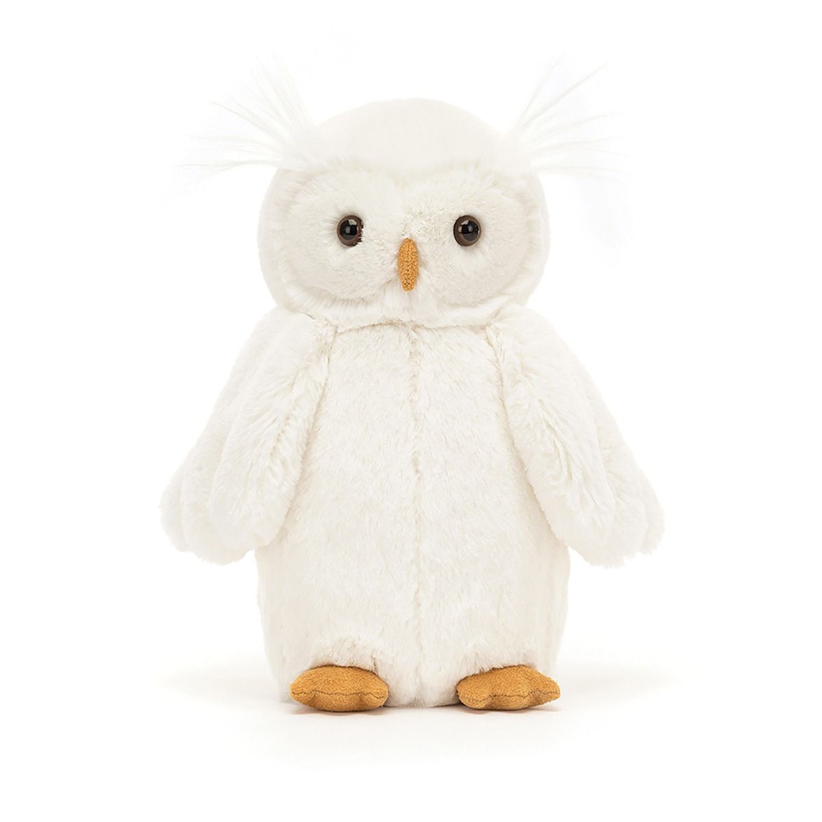 Bashful Owl White