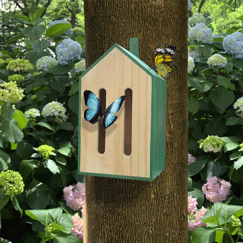 Natural wood butterfly house with painted green sides, hanging on wooden tree trunk