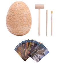 A large beige clay egg, resembling a fossilized texture, accompanied by three wooden tools (hammer, brush, and scoop), and a set of dinosaur identification cards.
