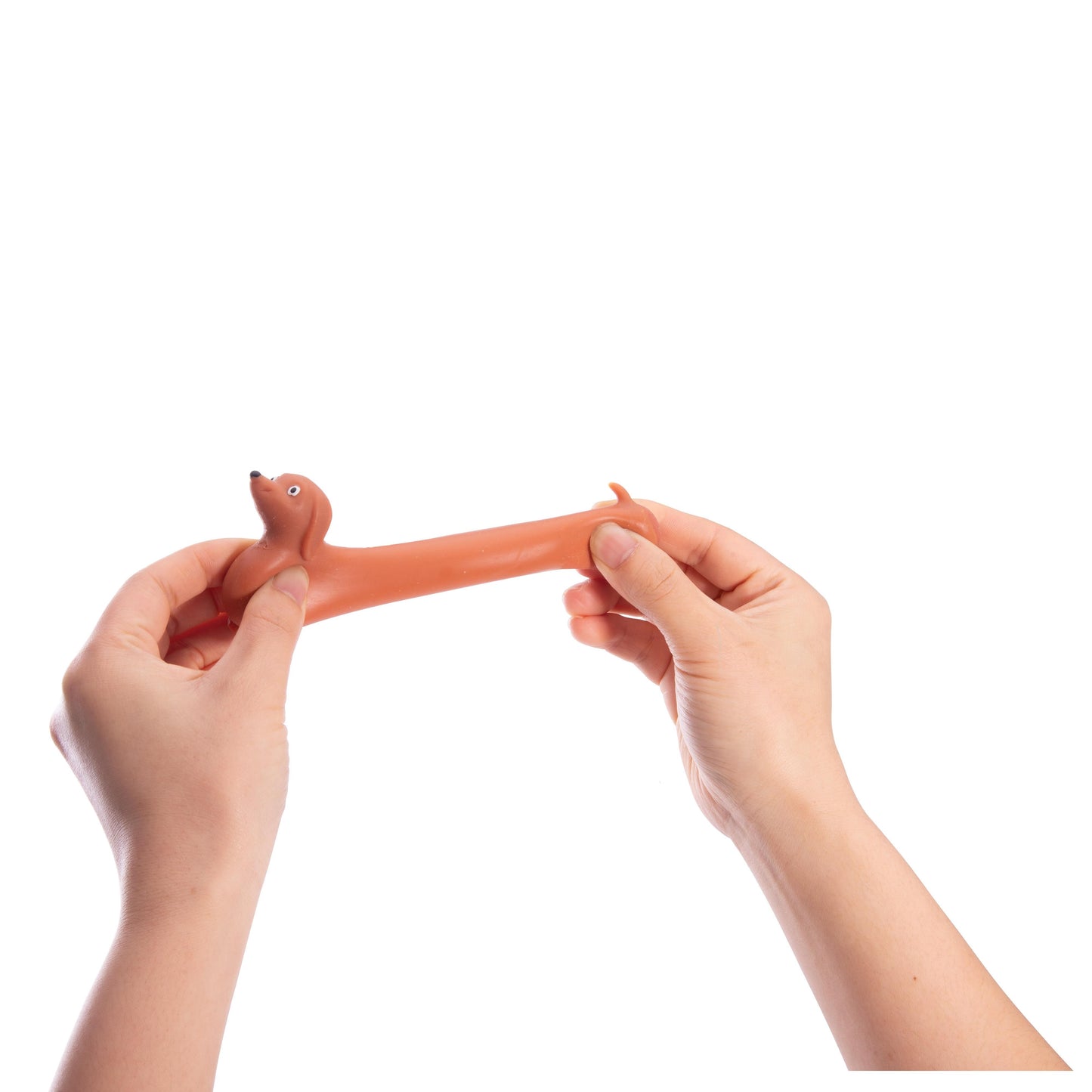 Stretchy Sausage Dog