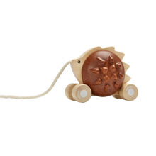 Pull Along Hedgehog