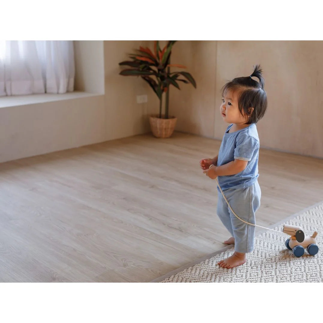 Pousser et tirer un chiot