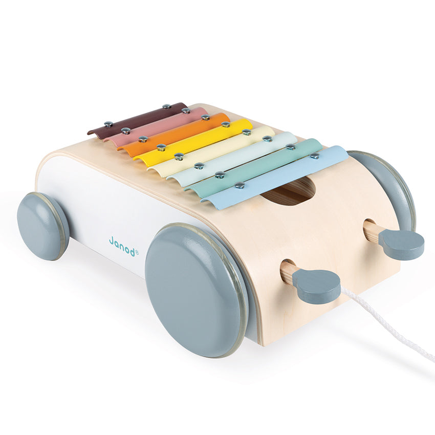 Cocoon Xylo Roller Janod Musical Toys