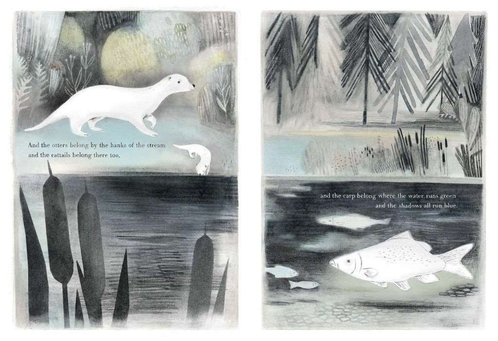Book - You Belong Here Compendium Children's Books