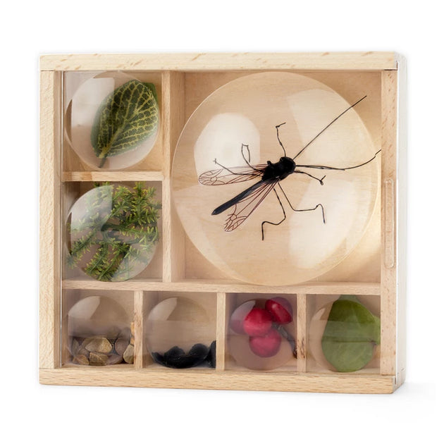 Bug Box (Wooden) Kikkerland Nature | Garden | Outdoor Exploration