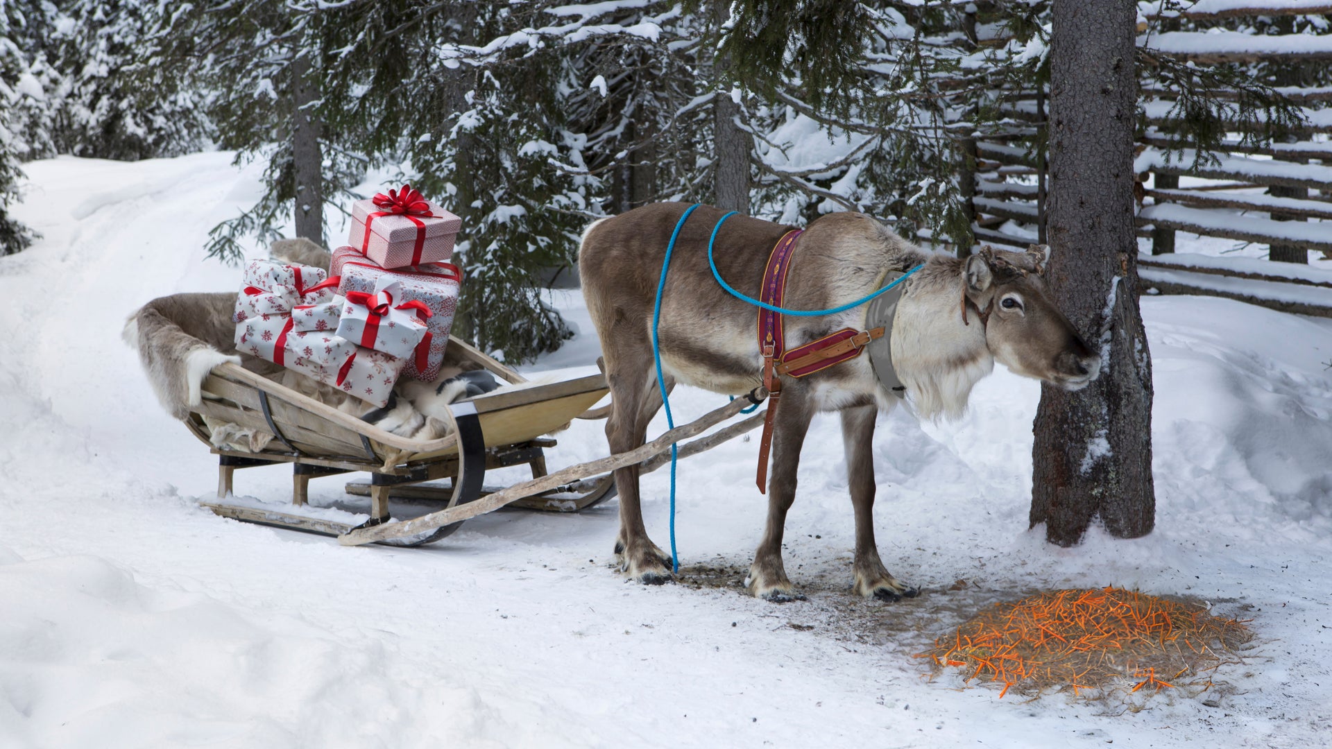 Lodge Before Dates - Christmas 2024