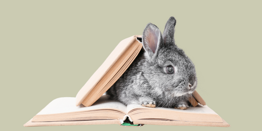 Choco-Not!  9 Chocolate Free Easter Gift Suggestions