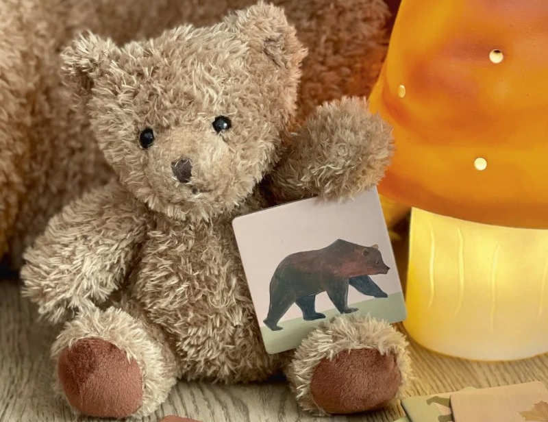 How to Host the Perfect Teddy Bears Picnic | Send A Toy – Send A Toy
