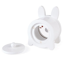 Rabbit Moneybox