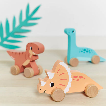 Dino Push-Along (Assorted)