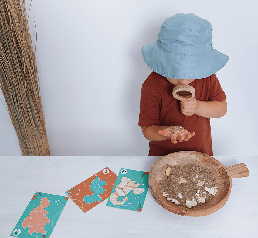 Jeu de fouille de dinosaures