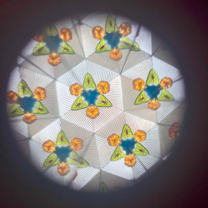 Dinosaur Kaleidoscope