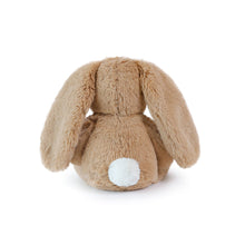 Brown plush bunny toy on a white background