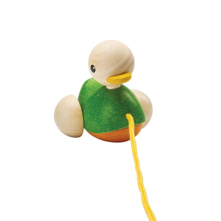 Wooden duck toy with a green shirt and yellow rope on a white background