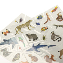 Collection of animal-themed stickers on a white background