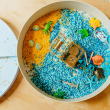 Sensory tray with under the sea theme sensory pieces