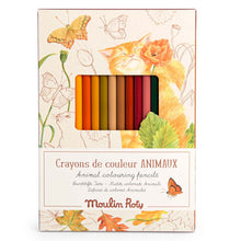 Nature themed wooden coloured pencils in an illustrated cardboard packet on a white background.