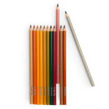 Nature themed wooden coloured pencils