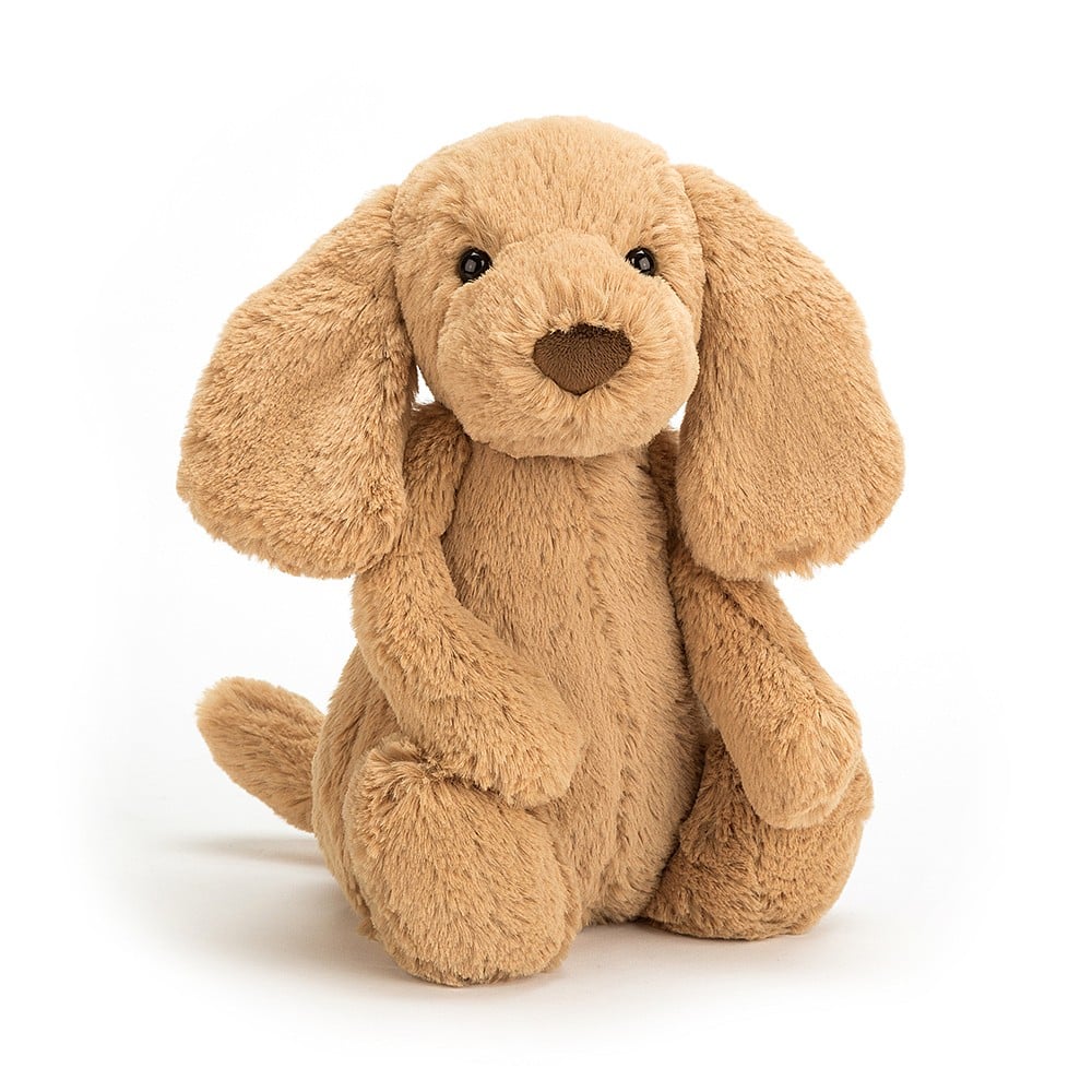 Chiot timide au caramel
