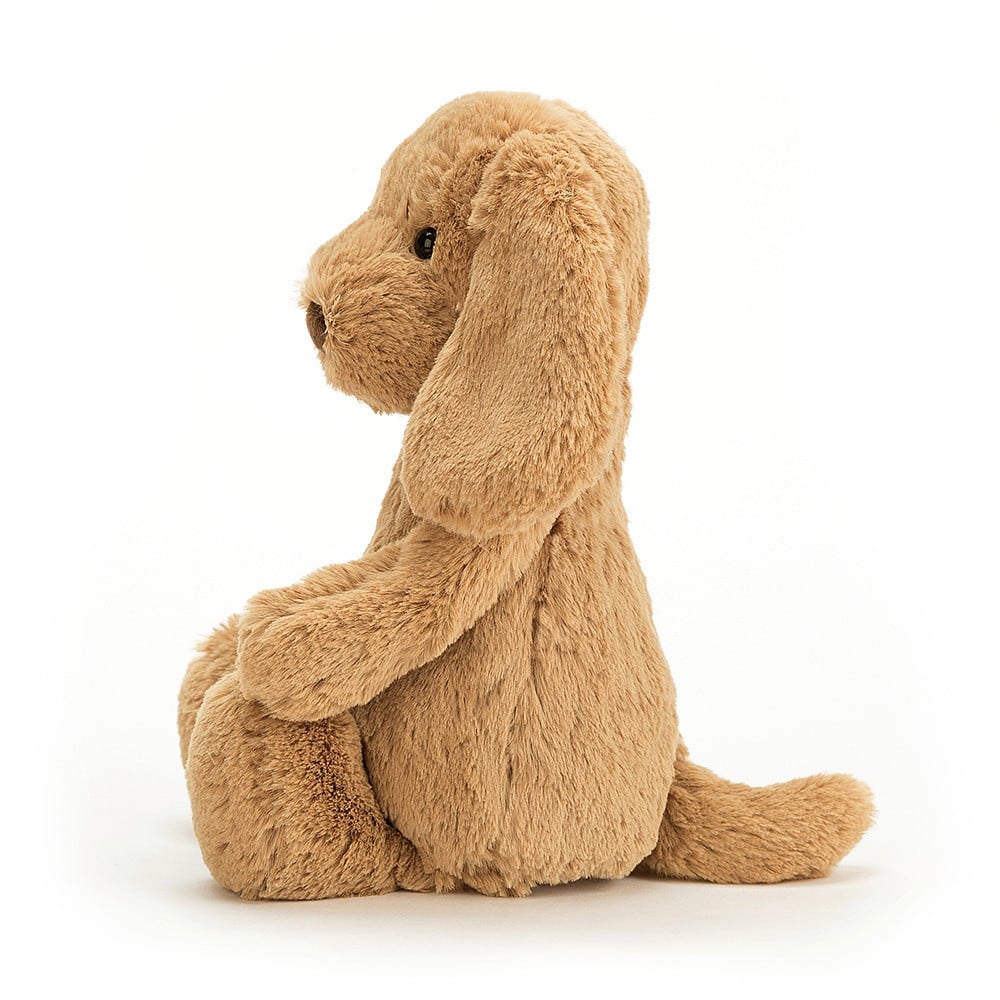 Chiot timide au caramel