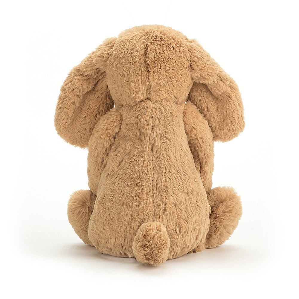 Chiot timide au caramel