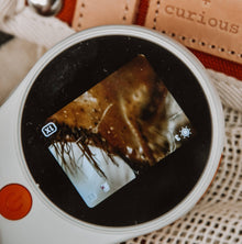 Close-up of a digital magnifying glass screen with a textured surface and 'be wild + curious' text in the background.