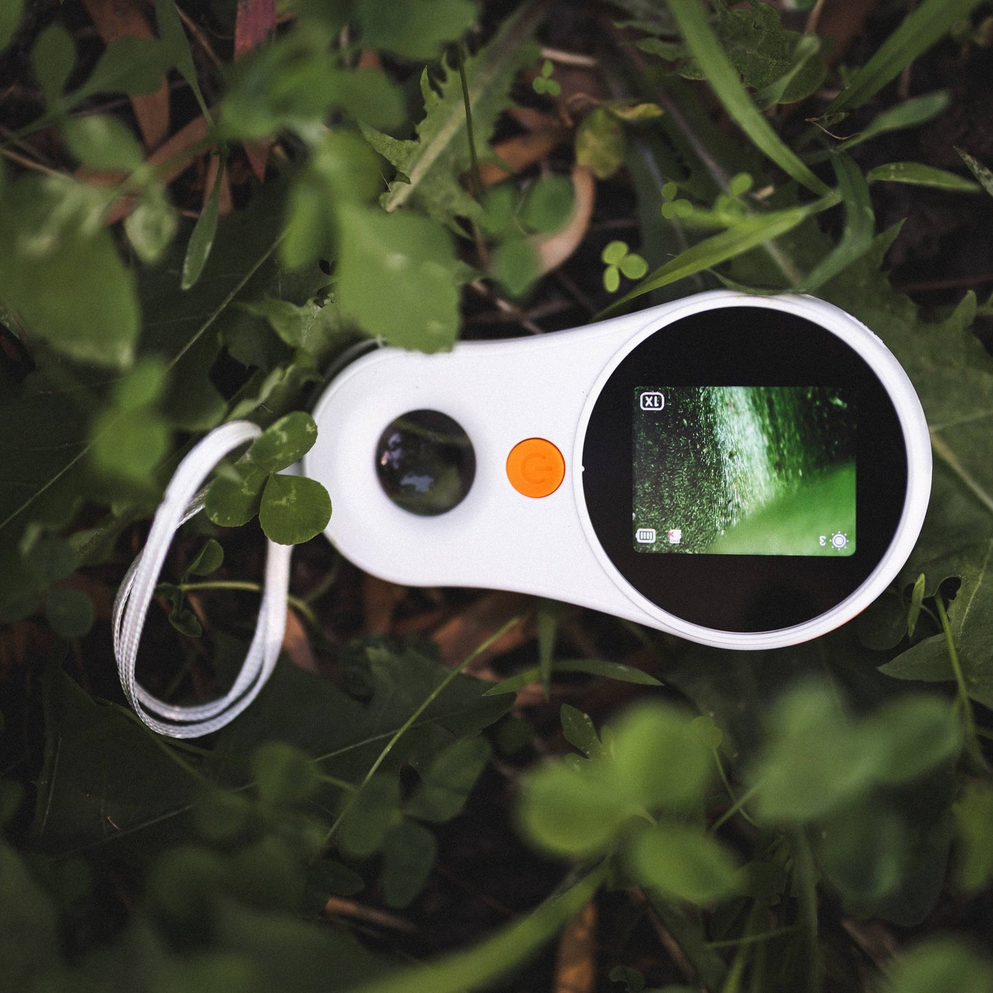 White digital magnifying device with screen on green leaves