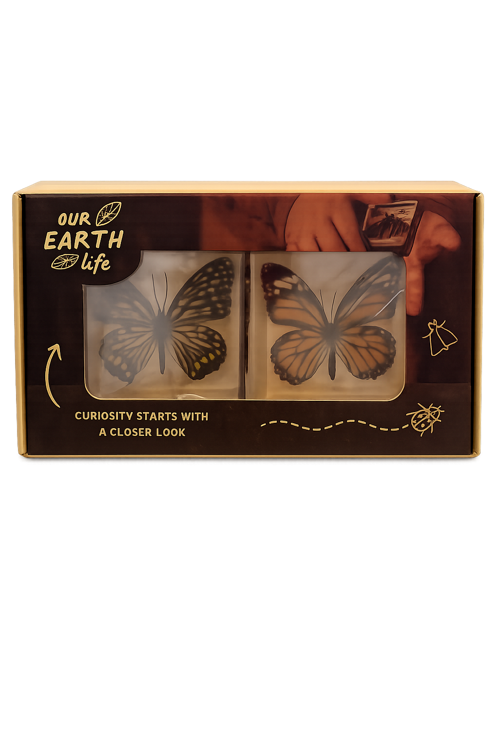 Butterfly Specimen Pair
