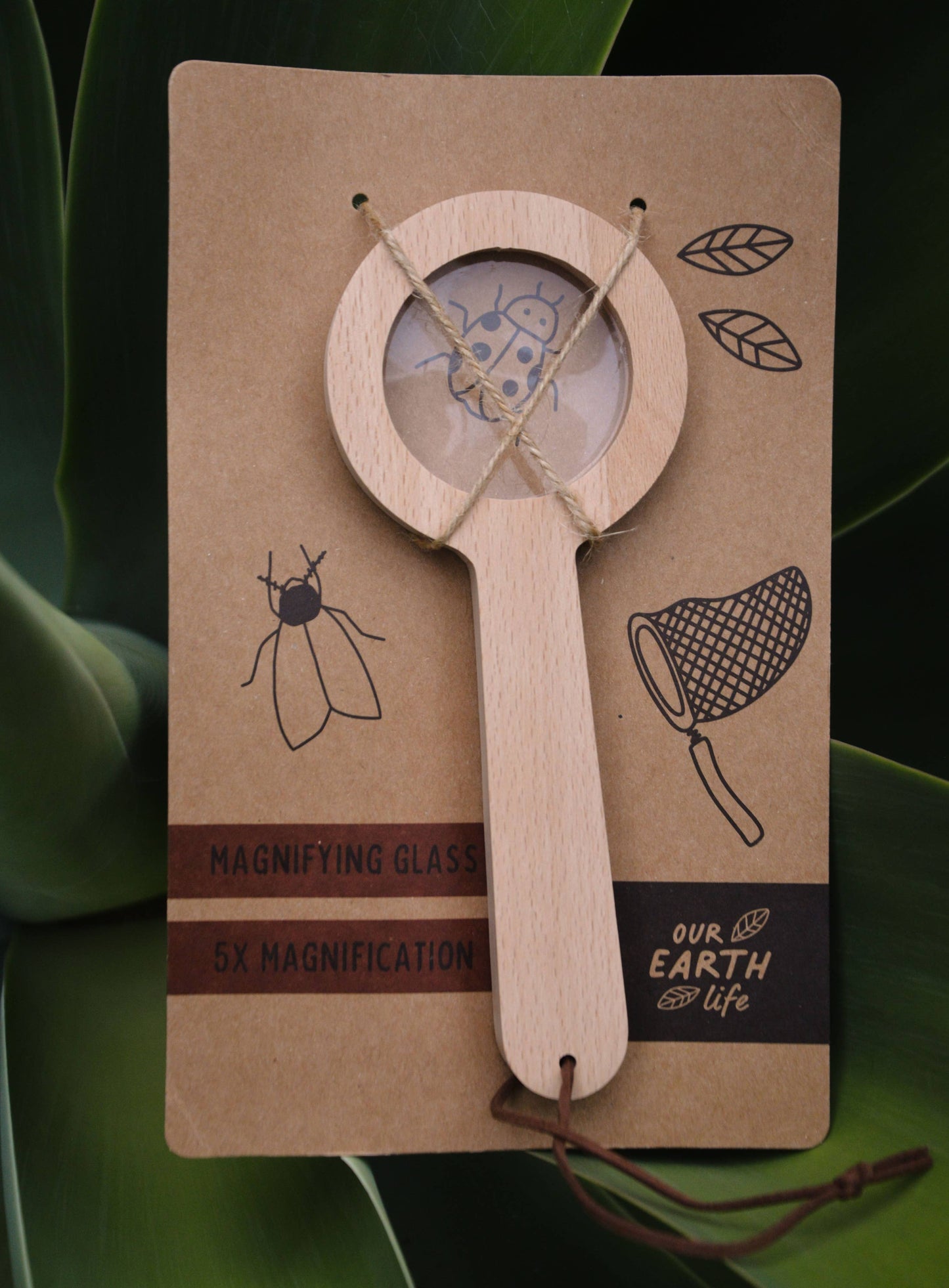 Wooden magnifying glass with a brown card featuring illustrations and text on a green leaf background