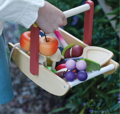 Wooden toy fruit basket with colorful fruits held by a child outdoors.