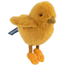 Autour du Monde chick