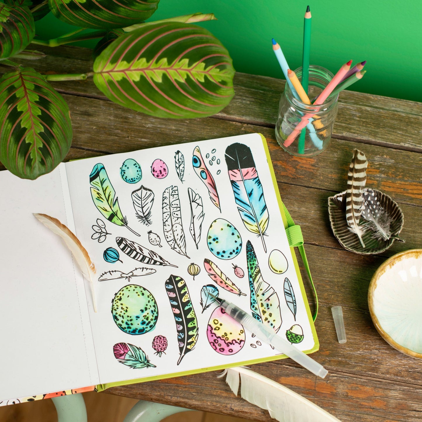 Le Jardin Magic Water Colouring Book