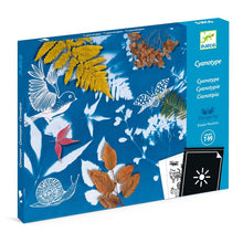 Cyanotype kit packaging with nature-themed design on a blue background