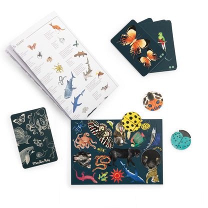 Autour de Monde Seek and Find Card Game