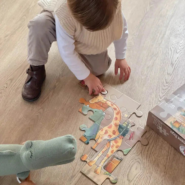 Noah’s Arch Puzzle