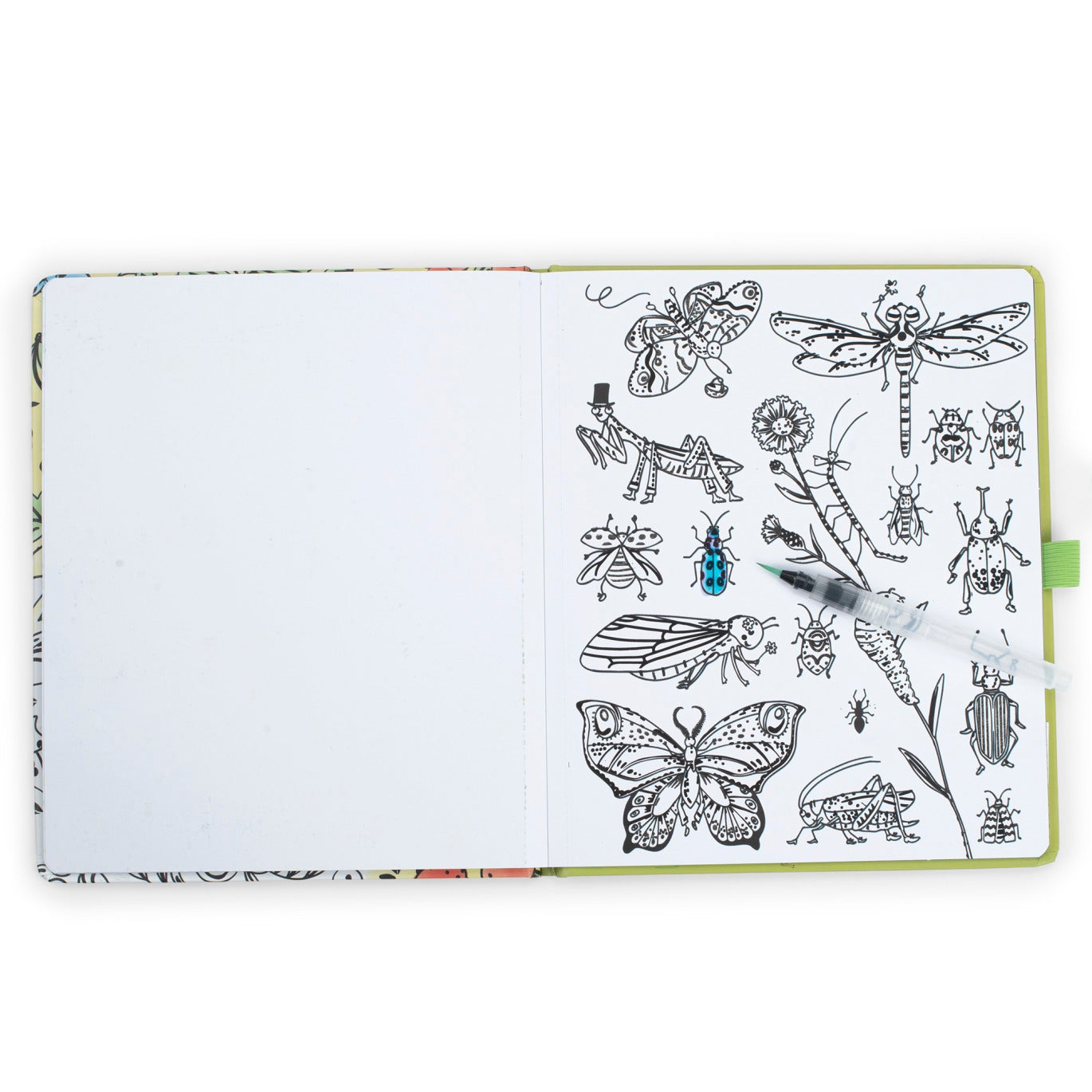 Magic water coloring book with insect illustrations on a white background