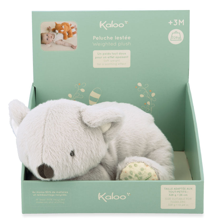 Soft toy resembling a Koala sitting in a mint green display box on a white background