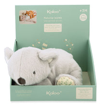 Soft toy resembling a Koala sitting in a mint green display box on a white background